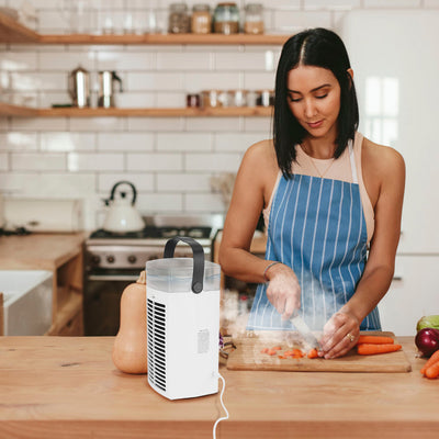 4 In 1 Portable Air Conditioner Fan Evaporative Air Cooler