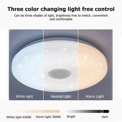 LED RGB Ceiling Light Bluetooth Speaker Music Light Dimming With Remote Control